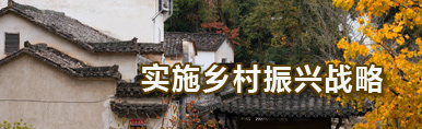 实施乡村振新战略
