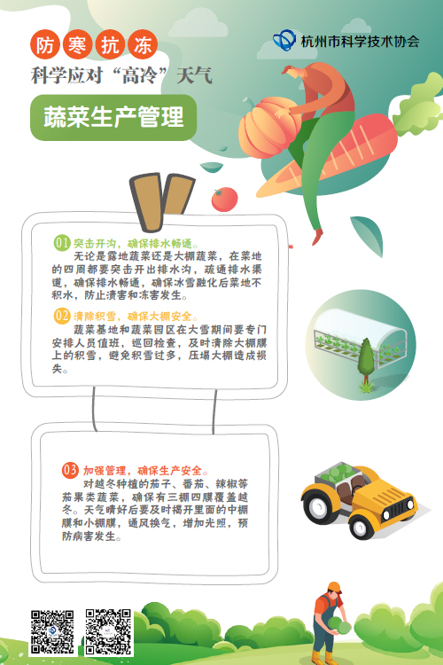 防寒抗冻科学应对“高冷”天气