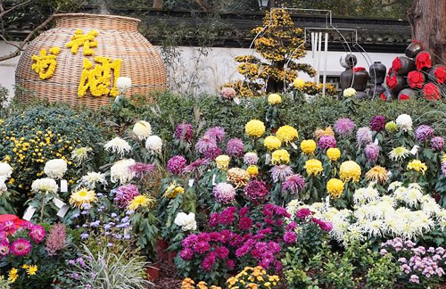 杭州植物园