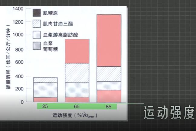 教你怎样运动才划算