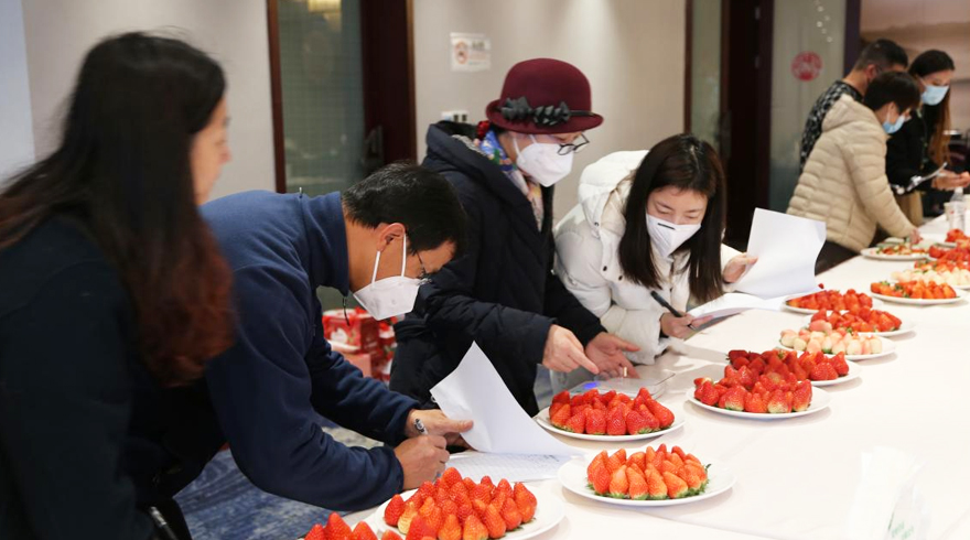 桐庐县举办首届优质草莓评比大赛