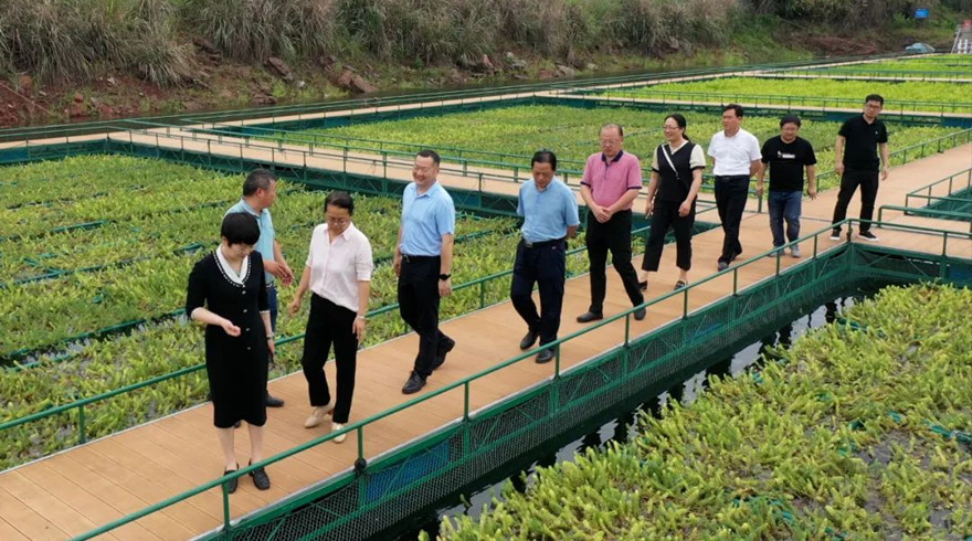 杭州市科协党组书记、主席孙雍容一行到淳开展主题教育调研和下访接访工作