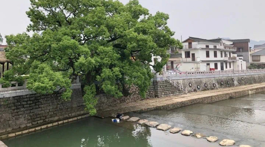 正值主汛期，收好这份防汛“不要”指南