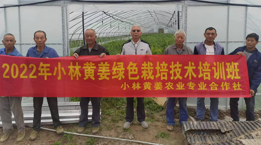 项目惠农助共富！临平区老科协“小林黄姜”公益创投项目顺利收官
