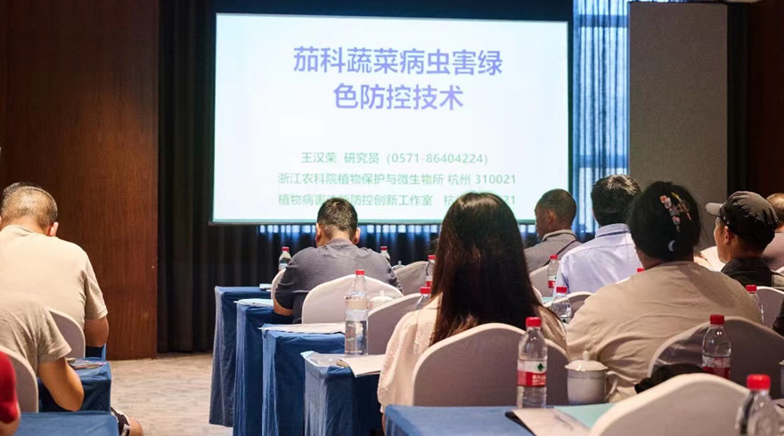 临安高山番茄科技小院：向下扎根，焕发新活力