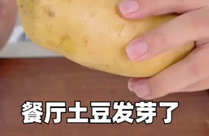 发芽的土豆还能吃吗？我们做了一个实验，结果还真是没想到…