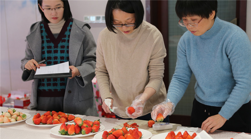 桐庐县举办第二届优质草莓评比大赛