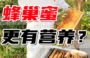 蜂巢蜜更有营养？