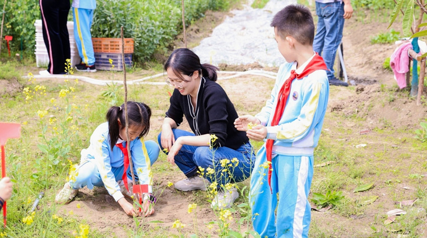 赴一场“生物圈与植物”春日市集与栽种之约