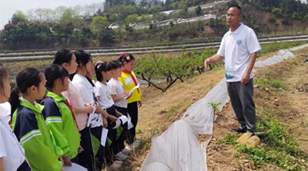 潜川小学研学活动走进红梅农场