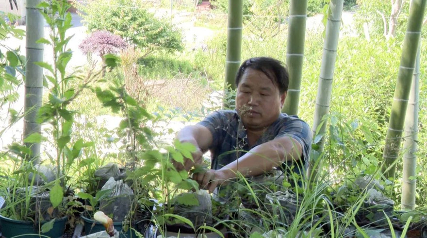 竹林下有“黄金”！临安这个村种出“宝”