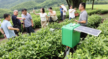 党建引领，科技赋能，市科协组织专家团队助力萧山戴村三清茶园智能化大升级