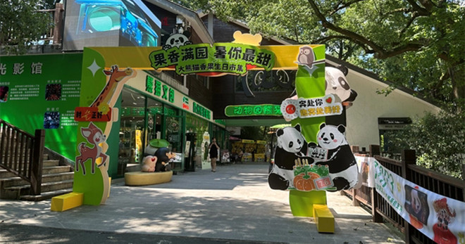 名胜区科协举办科普市集 助力大熊猫香果生日会