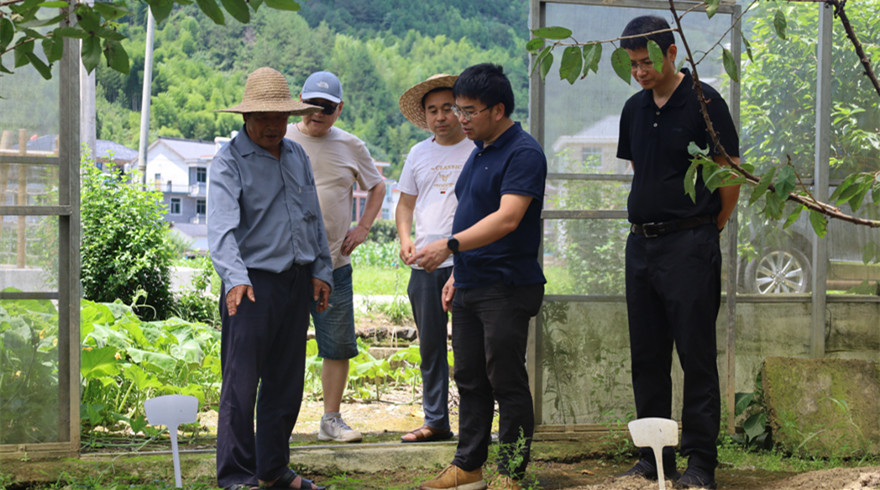 “希望之光”组合式人才帮扶团下乡开展灾后中药材培管技术指导