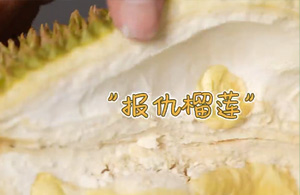 榴莲挑选指南