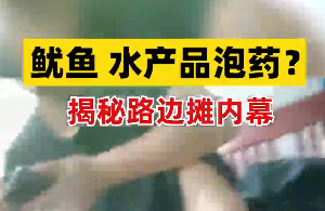 有问题的到底是鱿鱼，还是......