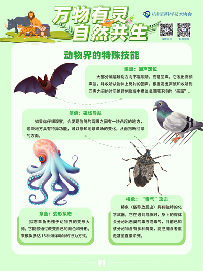 万物有灵 自然共生
