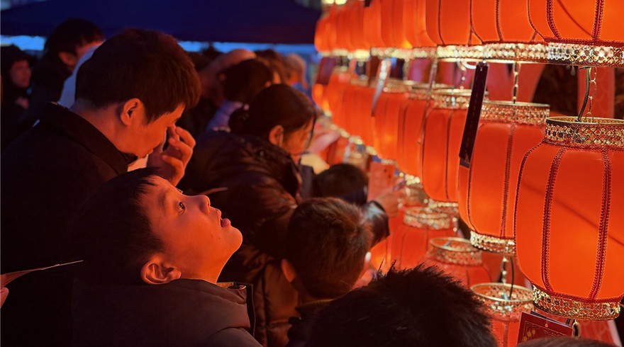 科普灯会圆满落幕，这个元宵“科”味十足