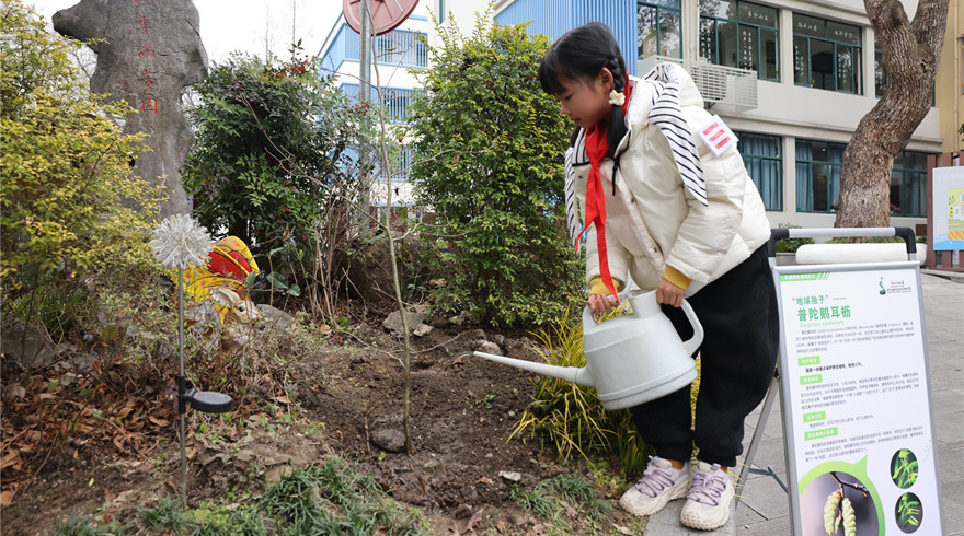 与珍稀植物零距离，守护世界生物多样性