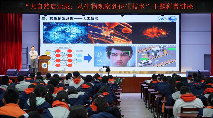 大自然启示录：从生物观察到仿生技术